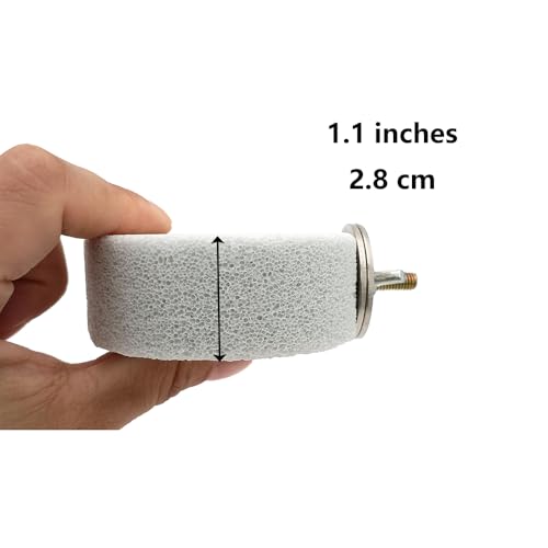 Shelltech Pumice Ledge Lava Ledge for Birds Chinchillas, Climbing Ledge Teeth Grinding Beak Grinding Block Perch Stand for Hamsters Chinchillas Parrots (Natural Color, S-Round 2 Pack) - size: S-Round 2 Pack