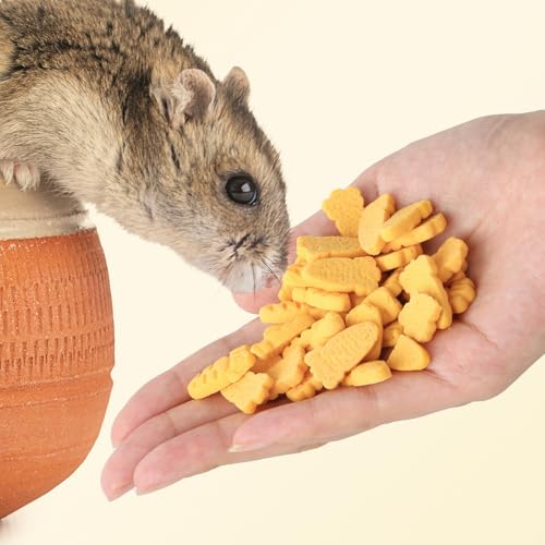 Abizoo Hamster & Gerbil Treats, Crispy Baked Hamster Cookies | Chew Treats for Small Animals, Crunchy Texture for Chewing, Supports Digestion & Dental Health, Made with Carrot & Yeast