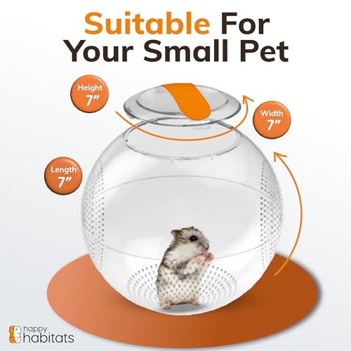 Clear Hamster Exercise Ball 7” – Pet Rat Accessories | Sturdy Dwarf Hamster Ball for Safe, Active Play – Ventilated Small Animal Toys for Gerbils, Mice & Other Small Pets - size: Roam Ball