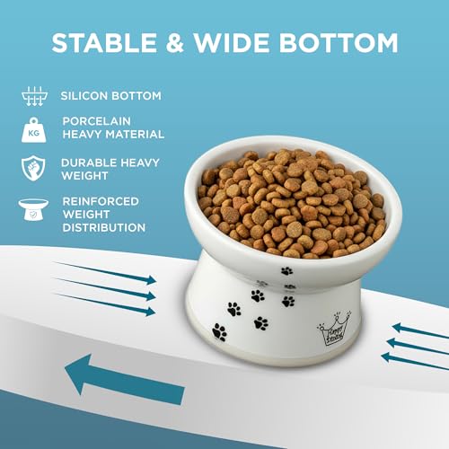 Necoichi Ceramic Elevated Cat Food Bowl, Whisker-Friendly (Cats, Regular) - color: Cat, size: Regular