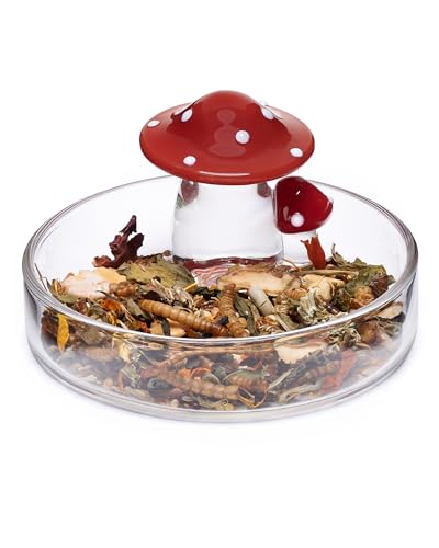 Niteangel Hamster Feeding & Food Bowls: Mushroom Glass & Chew-Resistant | Easy to clean & Stable Food Dish Feeding Bowls for Dwarf Syrian Hamsters Gerbils Mice Rats or Other Similar-Sized Small Pets - size: Feeding Bowl
