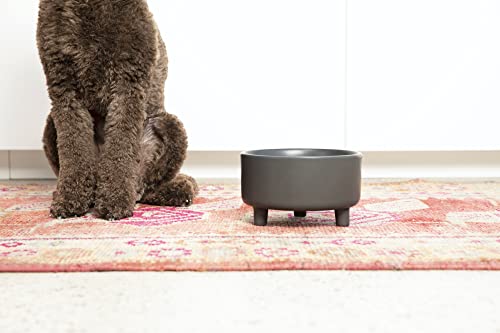 Waggo Uplift Ceramic Dog Bowl for Small Medium and Large Breeds - Heavyweight and Durable Pet Food and Water Dish Crock, Dishwasher Safe, Modern, Elevated Feeder (Small, Teracotta) - color: Teracotta, size: Small