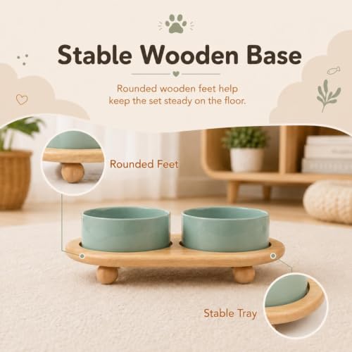 Havniva Raised Cat Bowl 5.1” Elevated Ceramic Cat Food and Water Bowl Set | Cat Bowls Elevated, Whisker Friendly Cat Bowl, Non-Slip Wood Stand, Food-Grade Ceramic, Wide Opening, Dishwasher Safe - color: Light Green, size: 5.1inch - 2 Bowls+Stand