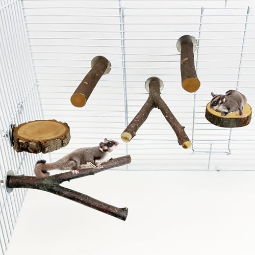 BNOSDM 6 Packs Wood Sugar Glider Toys Wooden Sugar Glider Perch Stand Climbing Platform Hanging Cage Steps Rat Cage Accessories for Hamster Squirrel - color: 6PCS-Wooden Perch & Platform Set