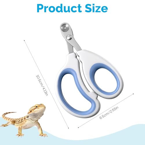 Stainless Steel Bearded Dragon Nail Clippers, Small Animal Nail Clippers, Cat Nail-Clipper, Professional Reptile Grooming Tool with Precise Angled Edge, Claw Trimmer for Birds, Cat, Dog Small Animals