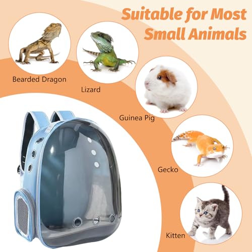 kathson Bearded Dragon Carrier with Harness and Leash Set, Large Reptile Travel Carrier Portable Lizard Backpack Clear Small Animals Carrying Bag for Gecko Hamster Rabbit Hedgehog Kitten (Blue) - color: Blue