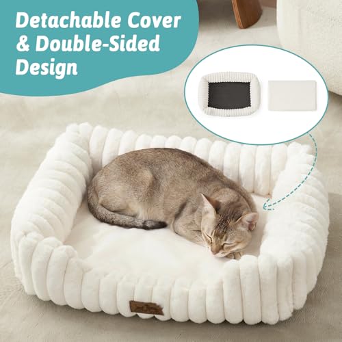 COZY KISS Orthopedic Pet Bed for Small Cats - Washable Rectangle Pet Bed with Anti-Slip Bottom, Soft Calming Cat & Puppy Bed for Indoor Pets (20"x18"x6", Cream) - color: Cream, size: 20"L x 18"W x 6"Th