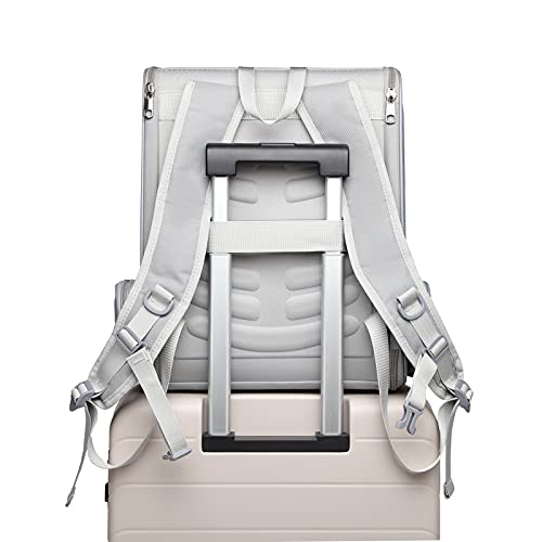 Texsens Innovative Traveler Bubble Backpack Pet Carriers for Cats and Dogs - color: Light Grey