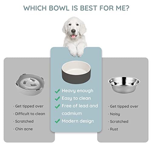 SPUNKYJUNKY 13.5OZ Ceramic Dog and Cat Bowl, Modern Cute Weighted Food Water Bowl for Replacement White-Grey (1 Pack) - color: White-grey, size: 1.7 CUPS