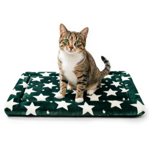 Dog Bed Mat, Reversible Crate Pad & Cute Dog Bed - Machine Washable Kennel Mat with Ultra Soft (Big&Small Stars Green, 18" L x 14" W x 1.5" Th) - color: Big&Small Stars Green, size: 18"L x 14"W x 1.5"Th