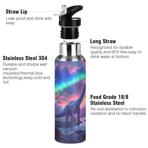 Brachiosaurus Dinosaur Northern Lights Water Bottle Kids Insulated Sports Vacuum Stainless Steel Mug with Straw Lid & Handle 20 oz - color: C1089