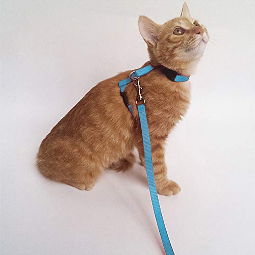 2 Pack Cat Harness and Leash | Adjustable Halter Harness with Nylon Strap, Safety Rope Leads for Kittens | Orange & Light Blue Color Set, Comfortable Escape-Proof Design