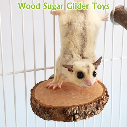 BNOSDM 6 Packs Wood Sugar Glider Toys Wooden Sugar Glider Perch Stand Climbing Platform Hanging Cage Steps Rat Cage Accessories for Hamster Squirrel - color: 6PCS-Wooden Perch & Platform Set