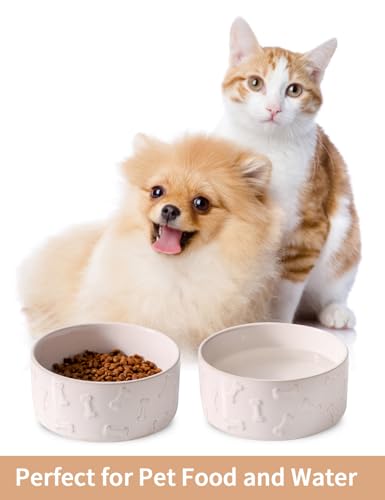 UBEE Ceramic Dog Bowl Set of 2, 5.1 inch Dog Food Bowl, Pet Food Water Dish Feeding for Small Dogs and Large Cat, Bone Pattern, 5.1 in-Small, White - size: 5.1 in-Small