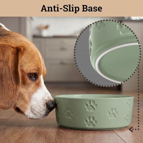 Ceramic Dog Bowl Set of 2 w/ Anti-Skid Base 6.5"W x 2.5"H, 3.8 Cup Capacity | Thick Ceramic, Dishwasher Safe, Anti-Skid Rubber Base, 3.8 Cups per Bowl, Ceramic Food & Water Bowls Set of 2 for Medium Dogs - color: Sage Green, size: Medium