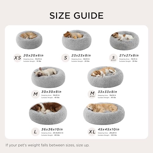Bedsure Calming Cat Beds Donut Round Washable Kitten Bed,20 inches Pale Grey - color: Pale Grey, size: 20"L x 20"W x 6"Th