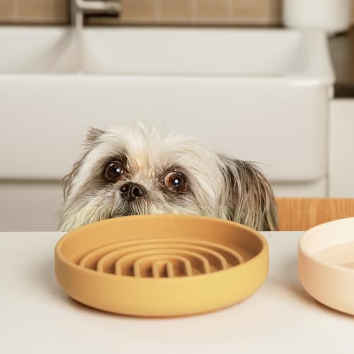 Slow Feeder Dog Bowls - Small Size Silicone Slow Eating Dog Bowl for Puppies & Dogs with Suction Cup -Dishwasher-Safe, Lick Mat Design, Reduces Gulping, for All Breeds, 6”x1.25”- Honey - color: Honey - Rainbow Design, size: Small (6” Across x 1.25” Tall)