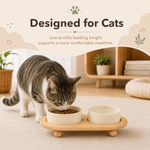 Havniva Raised Cat Bowl 5.1” Elevated Ceramic Cat Food and Water Bowl Set | Cat Bowls Elevated, Whisker Friendly Cat Bowl, Non-Slip Wood Stand, Food-Grade Ceramic, Wide Opening, Dishwasher Safe - color: 2 x Bowl + Stand - Light Yellow, size: 5.1inch