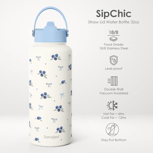 Blueberry Water Bottle Stainless Steel 32oz with Lid & Straw, Fruits Aesthetic Insulated Bottles Gifts for Girls Friends Teens Birthday Christmas - color: Blueberry