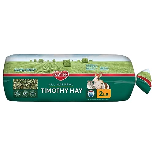 Kaytee Timothy Hay, High Fiber, Grown Specifically for Small Animals, Rabbits, Guinea Pigs, Chinchillas, Ideal Bulk Order for Small Pets, 2 Pounds - size: 2 Pound (Pack of 1)