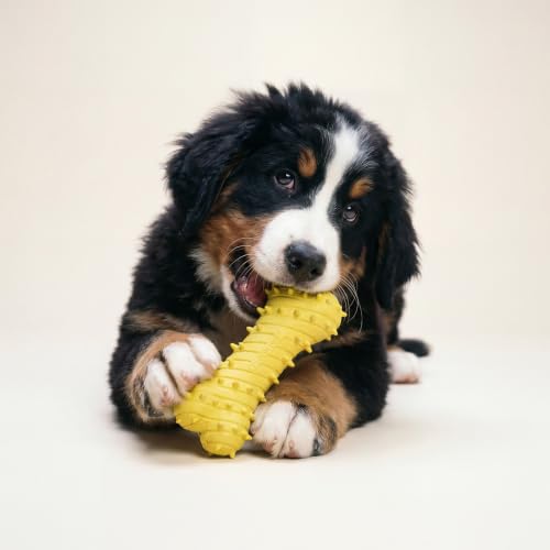 Playology Puppy Teething Bone Dog Chew Toy - Jumbo, Chicken Scent | Great For Puppies and Young Dogs, Teeting Nubs Soothe Gums, Durable Rubber, Large Breed - size: Jumbo, style: Chicken