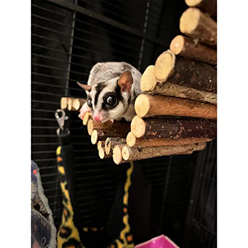 Flex Bridge (Small) - Bendable Natural Wooden Suspension Bridge Cage Accessory Climbing Toy - Sugar Gliders, Rats, Chinchillas, Ferrets, Parrots, Birds, Hamsters, Hedgehogs, Guinea Pigs, Monkeys - size: Small