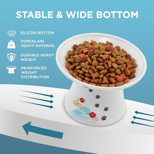 Necoichi Ceramic Extra-Wide Elevated Cat Food Bowl (Fuji, Extra Wide) - color: Fuji, size: Large Extra Wide
