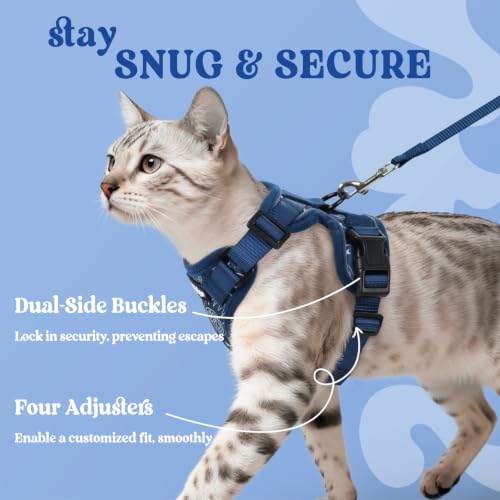 rabbitgoo Cat Harness and Leash Set, Escape Proof Vest, Cosmic Ace | Soft Breathable Mesh, Easy Adjustable Fit, Snap Buckles, Sturdy Clip, Reflective Strips, for Kittens & Small Cats Walks, Xxs - color: Cosmic Ace, size: Xxs