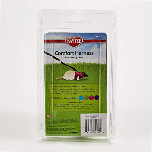 Kaytee Comfort Harness and Stretch Leash, Small | Safer walks and healthy exercise. Small-animal leash and harness. Velcro straps, e-z snap buckle, 4-ft harness leash - size: Small