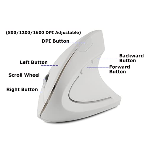 Wireless Mouse Ergonomic Vertical Ergo High Presion Optical Lightweight Cordless LED Light Cute Wireless Mice for Laptop Computer Mac Office Girl Boy Women Men Gift,800/1200/1600 DPI,6 Buttons - color: White