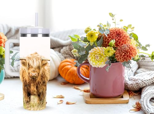 momocici 40oz Highland Cows Tumbler with Handle Gifts for Women.Highland Cow Lover Cups Tumbler Gifts for Women.40 oz Birthday Christmas Highland Cow Cup Tumblers for Highland Cows Lover. - style: Highland Cow & HEART