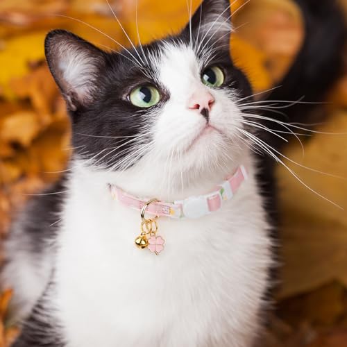 2 Pack Cotton Cat Collar Purple and Pink Flowers Cute Kitten Cat Collar | Breakaway Breathable Soft material With cute pendants with Bell - color: Purple&Pink