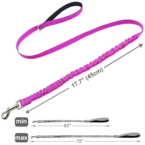 5FT Bungee Dog Leash Shock Absorbing Reflective Nylon Lead 2cm Wide | Soft Handle- Lightweight- Anti-Pull Training for Small/ Medium Dogs- 6 Colors (purple) - color: Purple