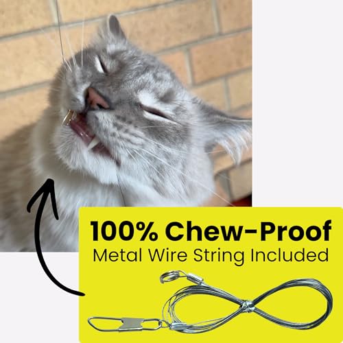 Forever Stick and 3 Strings including Chew Proof Metal Wire - The Unbreakable Cat Wand Toy, Durable Cat Toy Wand, Extra Long Cat String Toy, Cat Fishing Pole Toy for Bored Indoor Adult Cats, Stick Toy - size: Forever Stick and Chew-proof String
