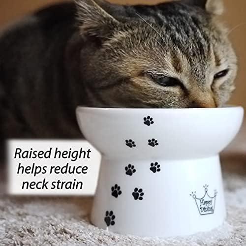 Necoichi Ceramic Elevated Cat Food Bowl, Whisker-Friendly (Cats, Regular) - color: Cat, size: Regular