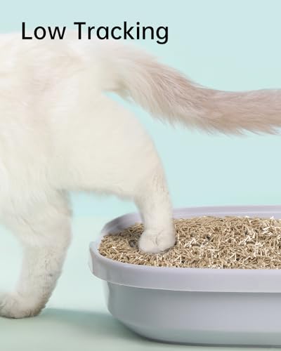 Clumping Cat Litter Tofu Mixed,Flushable Dust-Free 16.5 lb (3-Pack) | 4-in-1 Bentonite Tofu Cat Litter Odor Control Water Absorbent Multi-Cat Jasmine Scent - size: 5.5lb x 3bags, style: Mixed-Jasmine