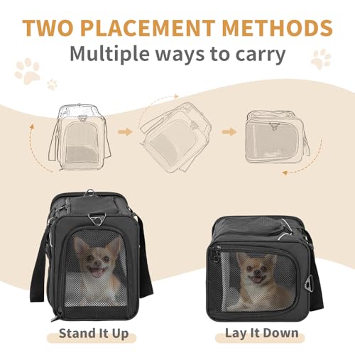 ‌Petsfit Airline Approved Pet Carrier for Small Dogs & Cats, 19x9x12 TSA Approved Carrier, with Removable Dual-Sided Padding (2-Way Placement) - Fits Under Most Airplane Seats, Escape Proof (Black) - color: Black, size: 19"L x 9.0"W x 12.0"H