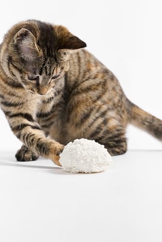 pidan Cassava Cat Litter clumping,Natura llitter Unscented,Odor Control,Plant-Based Natural Ingredients,Ultra Absorbent and Fast Drying,NO Dust (5.3lb/Bag×2bags) - size: 5.3lb/bag×2bags