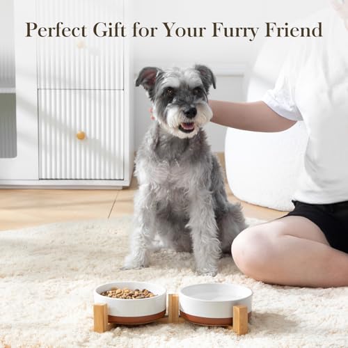 MALACASA Ceramic Dog Bowls Small Size Dog with Wood Stand, 1.5-Cup Ceramic Puppy Bowls for Cats & Small Dogs, Dual Food and Water Bowls with Weighted Non-Slip Base, Glaze Matte,14 Oz - color: Vanilla White（2 PCS with Stand）, size: S-1.5 Cups