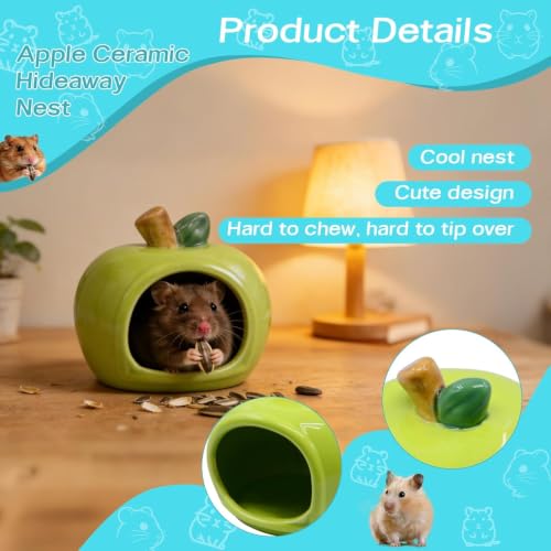 RUIAN Hamster Hideout - Ceramic Hamster Hide for Syrian and Dwarf Hamsters, Hamster House and Hamster Sand Bath Cave, Gerbil Hideout for Small Animal Cage Accessories(Green) - color: green