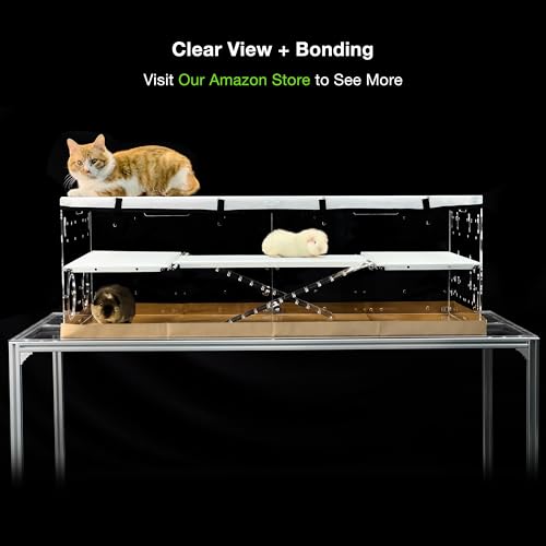 GuineaLoft™ Model-A3Loft 2-Level Acrylic Guinea Pig Cage w/Loft | Includes 2nd Floor Loft, Ramps, Beams & Gauze Lid; Large 4'x2'x1.3' Expandable C&C Cage Also Works for Bunnies & Hedgehogs - color: Model-A3