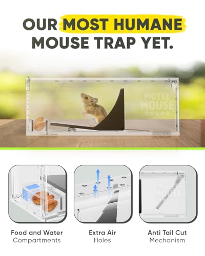 Motel Mouse Humane No Kill Mouse Traps Live Catch & Release - 4 Pack | Water & Food Compartment • Additional Air Holes • Tail Protection • Motel Mouse's Most Humane Solution • Reusable - color: Regular White