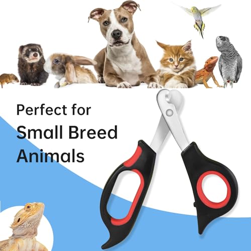 Bearded Dragon Nail Clippers with Precise Angled Edges | Stainless Steel Bearded Dragon Toe Nail Clippers (Reddish Black) - color: Reddish Black