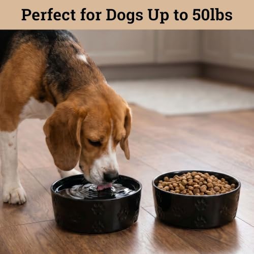 Ceramic Dog Bowl Set of 2 w/ Anti-Skid Base 6.5"W x 2.5"H, 3.8 Cup Capacity | Thick Ceramic, Dishwasher Safe, Anti-Skid Rubber Base, 3.8 Cups per Bowl, Ceramic Food & Water Bowls Set of 2 for Medium Dogs - color: Black, size: Medium
