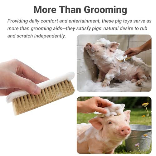 4 Pcs Pet Enrichment Toy, Pet Grooming Brush & Scratch Toy 2-in-1 for Mini Pig,Cats, Dogs - Includes Mounting Screws for Easy Install