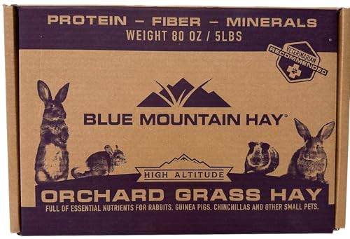 Blue Mountain Hay High Altitude Orchard Grass Hay Pet Food (5 lb) - Fresh, Soft & Leafy, High Fiber Nutrition - Sweet Aroma, Additive-Free, Supports Digestion, Dental Health & Natural Foraging - size: 15 Ounce (Pack of 1)