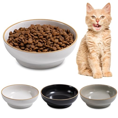 Cat Bowl 3 Pack, Pet Plate, Premium Ceramic Food Grade Pet Bowl Suitable for Dry and Wet Food, 5 in Feeding Indoor Cats, Kittens and Small Dogs, Dishwasher Safe (Black White Gray) - color: White/Black/Grey
