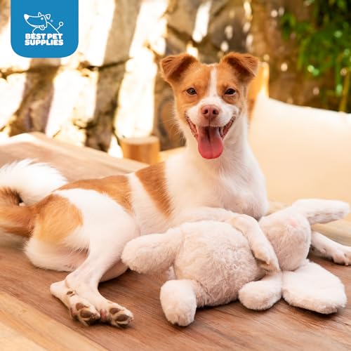 Best Pet Supplies Bunny Buddy Squeaky Plush Dog Toy - Beige, Medium | Soft Plush, Squeaks & Crinkles, Perfect for Moderate Chewers, Toss & Fetch Play, Stress & Anxiety Reliever, Ideal Gift Toy - color: Bunny (Beige), size: Large