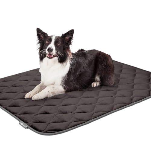 Paw Inspired Washable Padded Crate Mats for Dogs, Gray, 47x29 Inch | Fits 48-inch Kennels, Leakproof, Waterproof Bottom, Plush Dog Pad, Pet Bed - color: Gray, size: 48 Inch