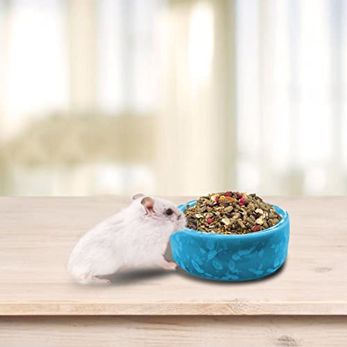 kathson 2 Pcs Hamster Food Bowl Guinea Pig Ceramic Water Bowl Small Animal Feeding Dish for Dwarf Hamster Gerbil Syrian Ferret Hedgehog Chinchilla Bunny (Blue)… - color: Blue, size: 2Pcs:S